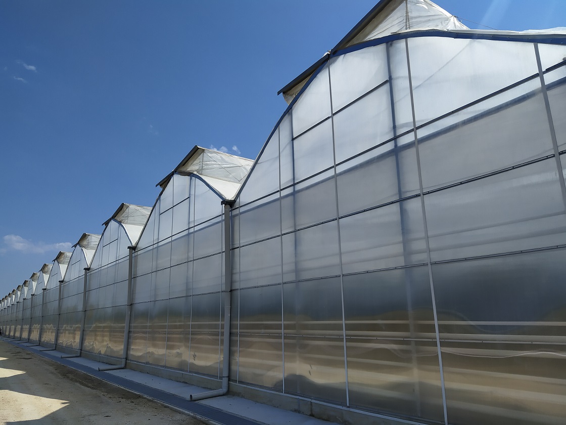 Poly greenhouse