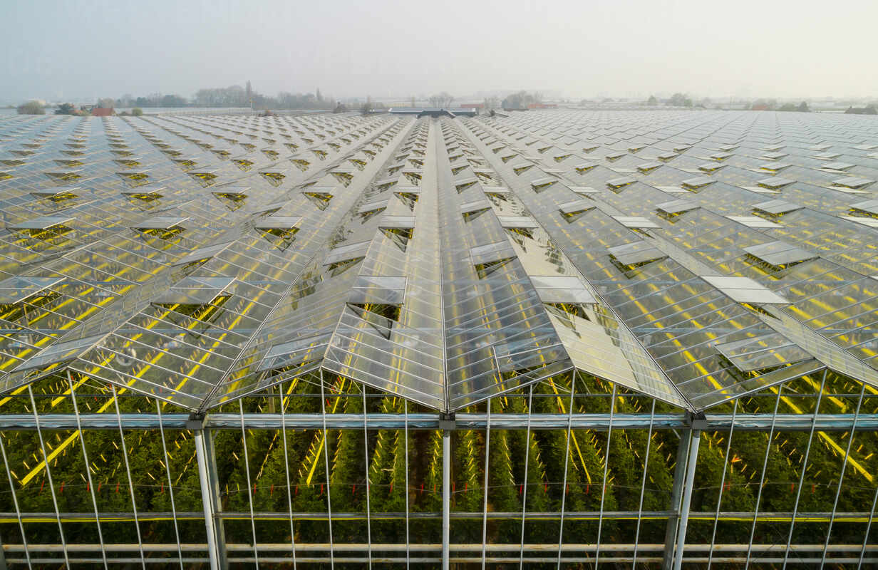 Greenhouse in the Westland area, part of Netherlands with large concentration of greenhouses, elevated view, Maasdijk, Zuid-Holland, Netherlands