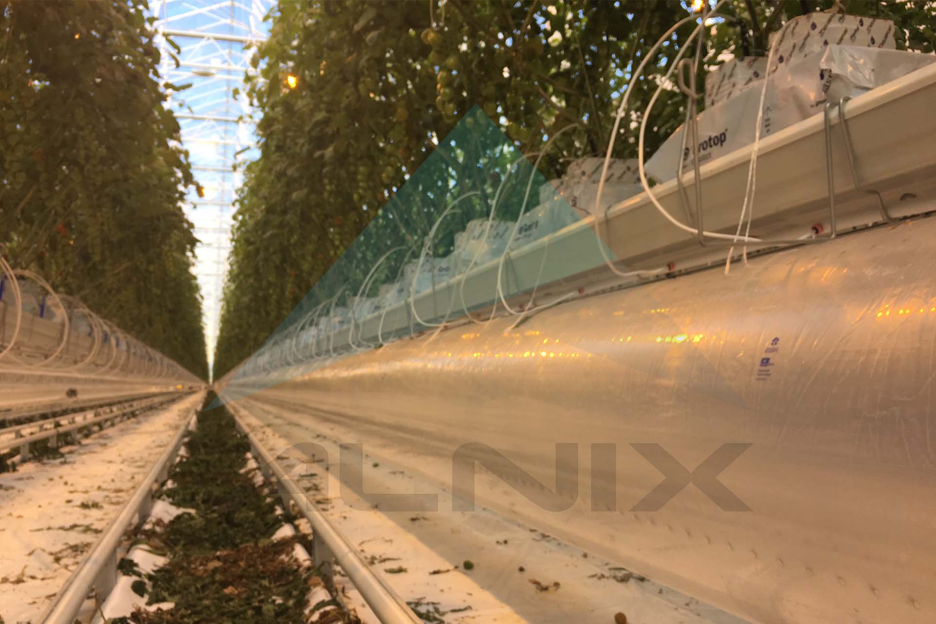 AlniX_Ultra 2