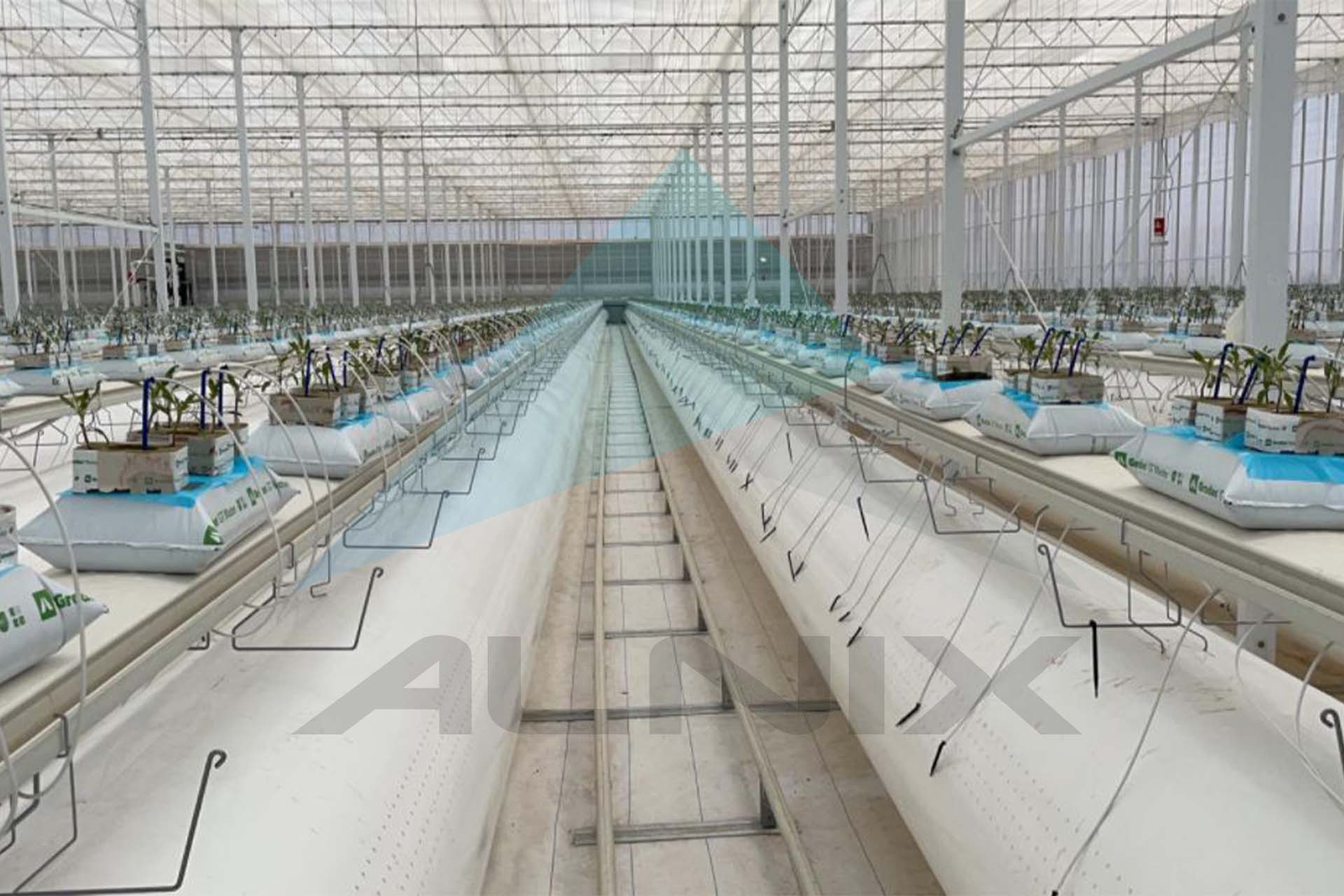 AlniX_Ultra 5