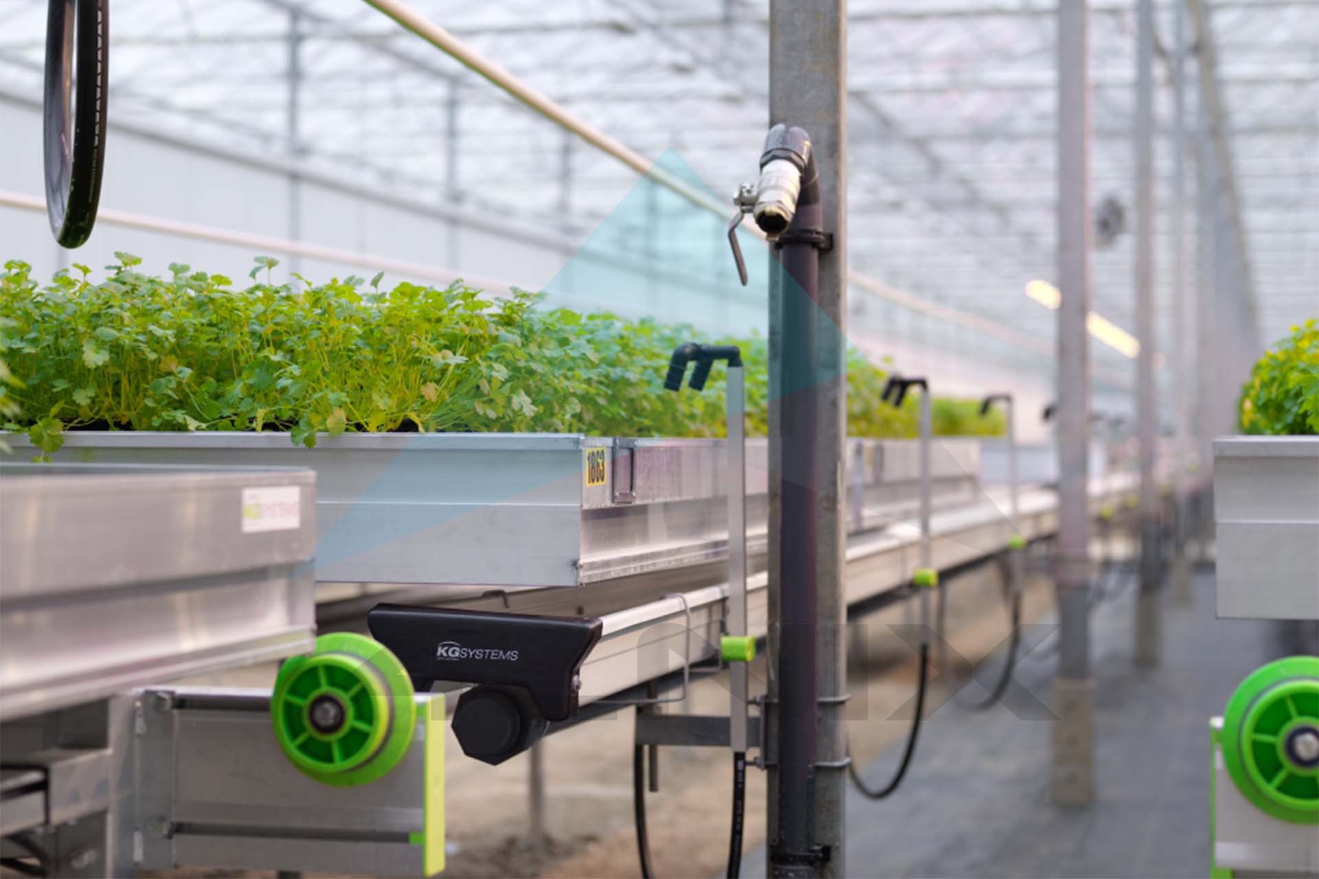 Grow_tables 2