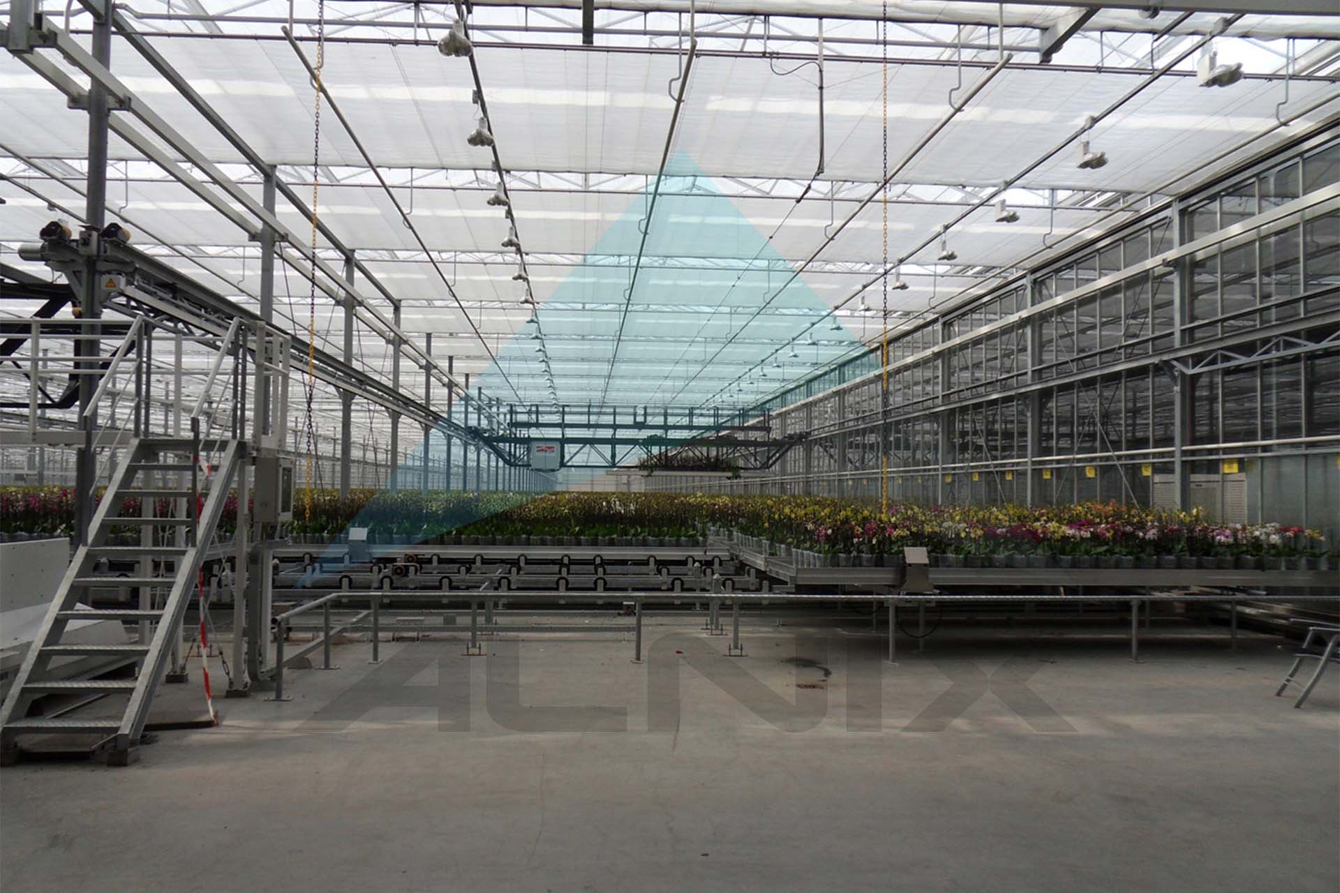 Grow_tables 3