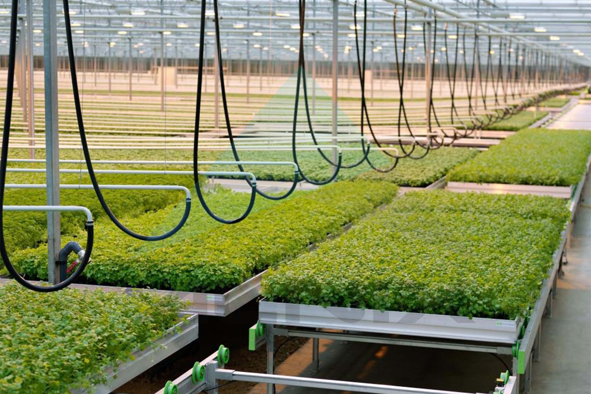Grow_tables 4