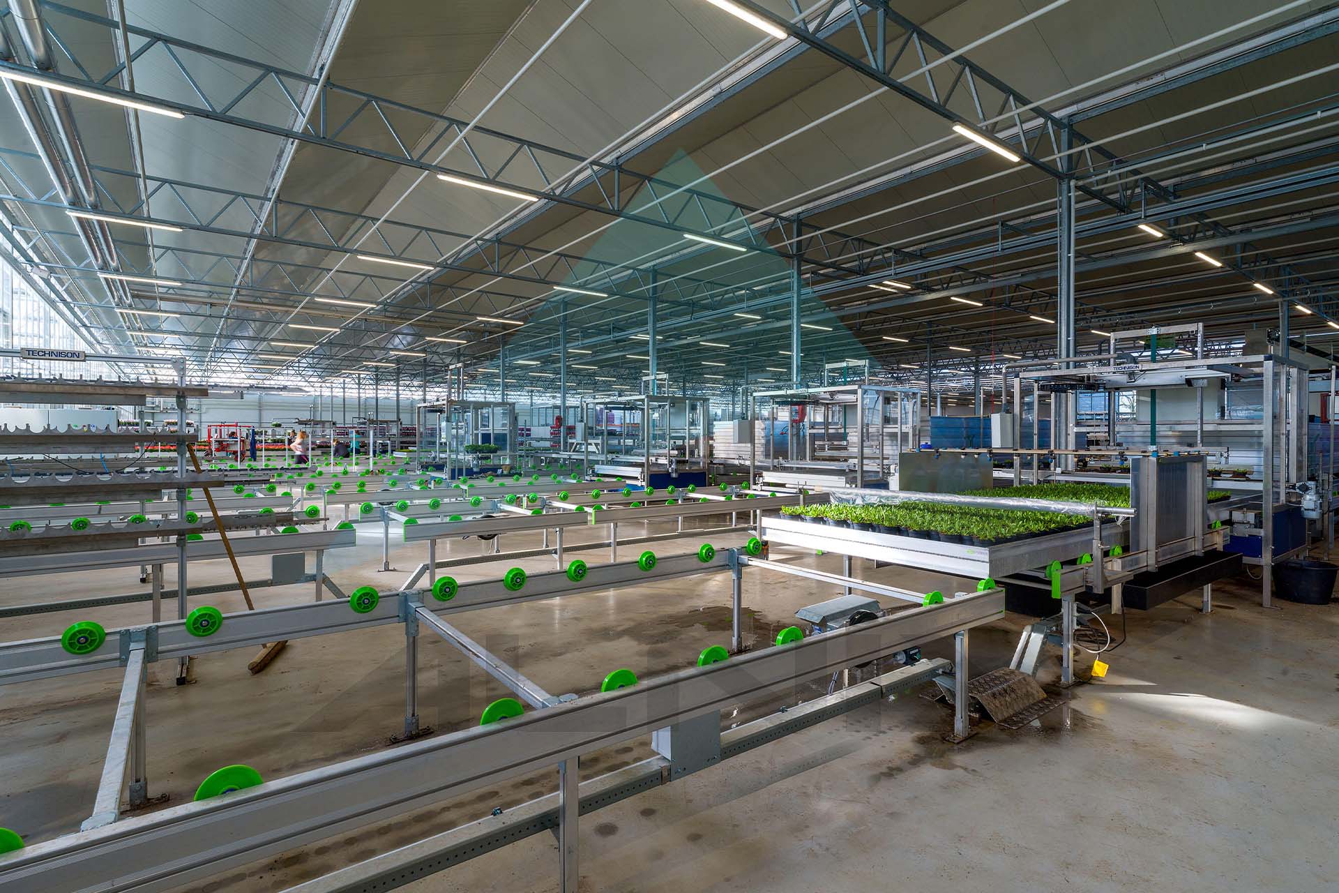 Grow_tables 5