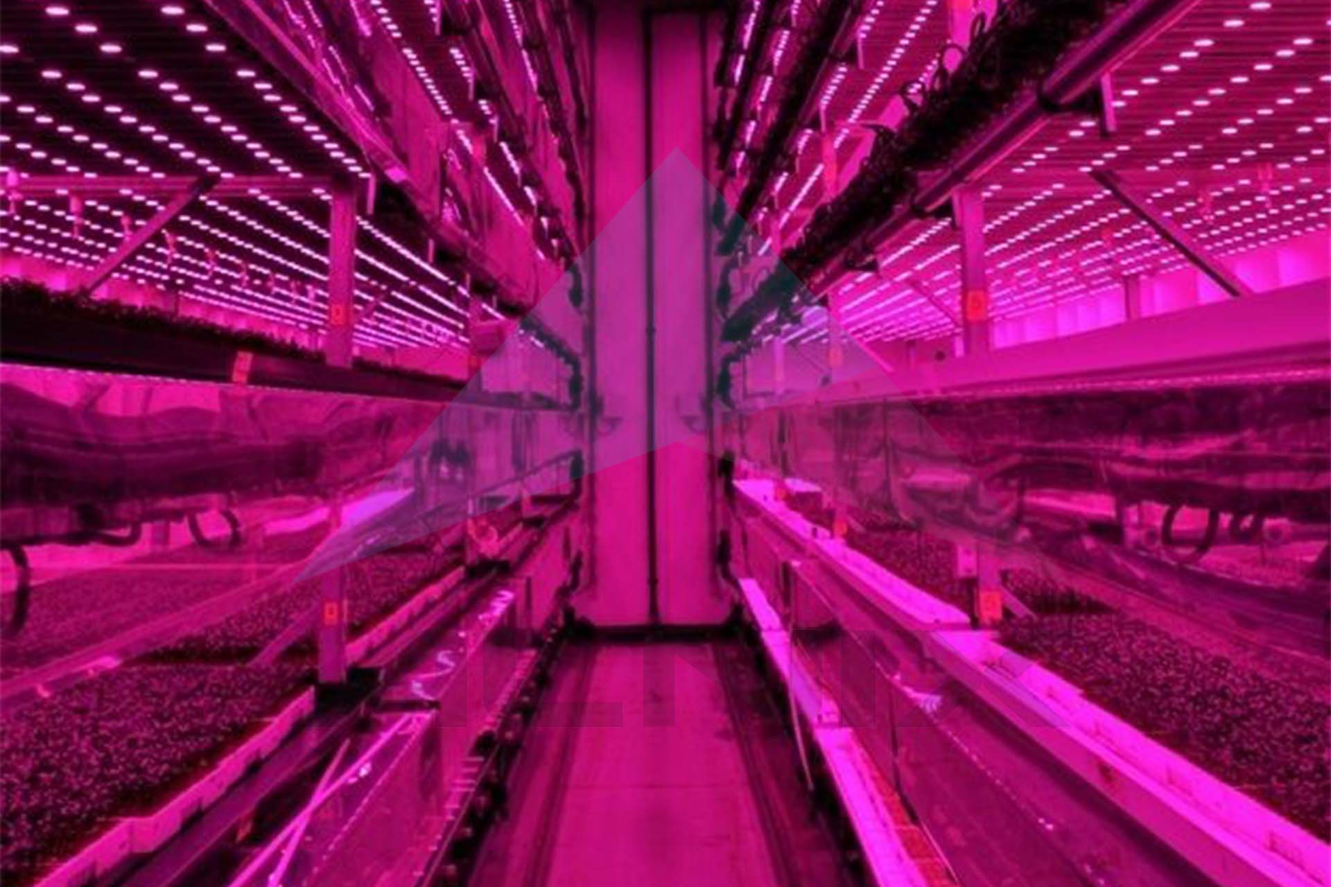Vertical_farming 1