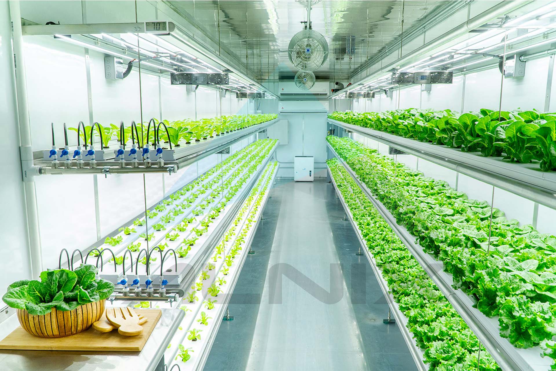 Vertical_farming 3