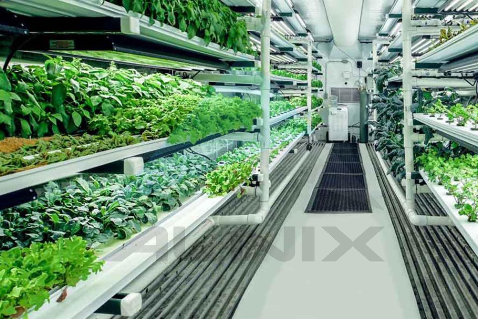 Vertical_farming 4