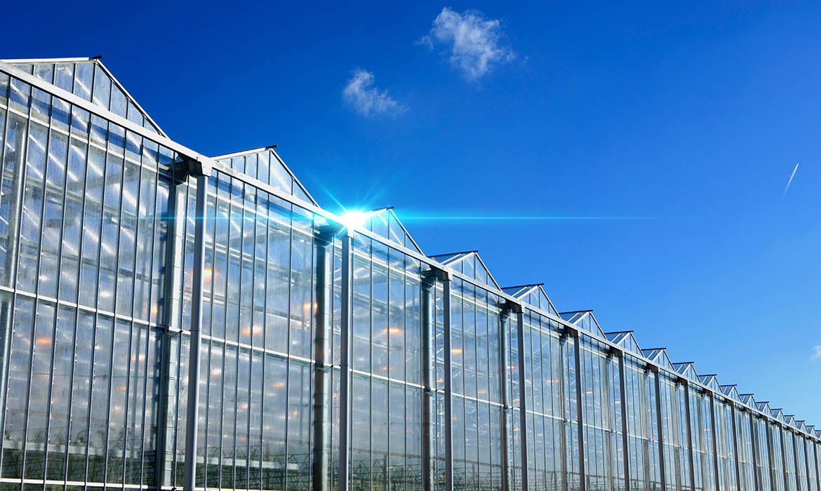 greenhouse